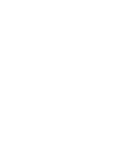 专业