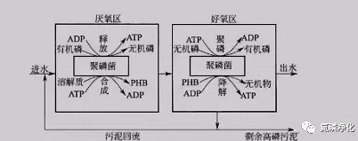 除磷1.jpg 除磷1.jpg