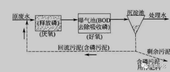 除磷3.jpg 除磷3.jpg