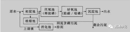 除磷4.jpg 除磷4.jpg
