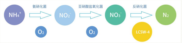 企业微信截图_20220601154802.png 企业微信截图_20220601154802.png